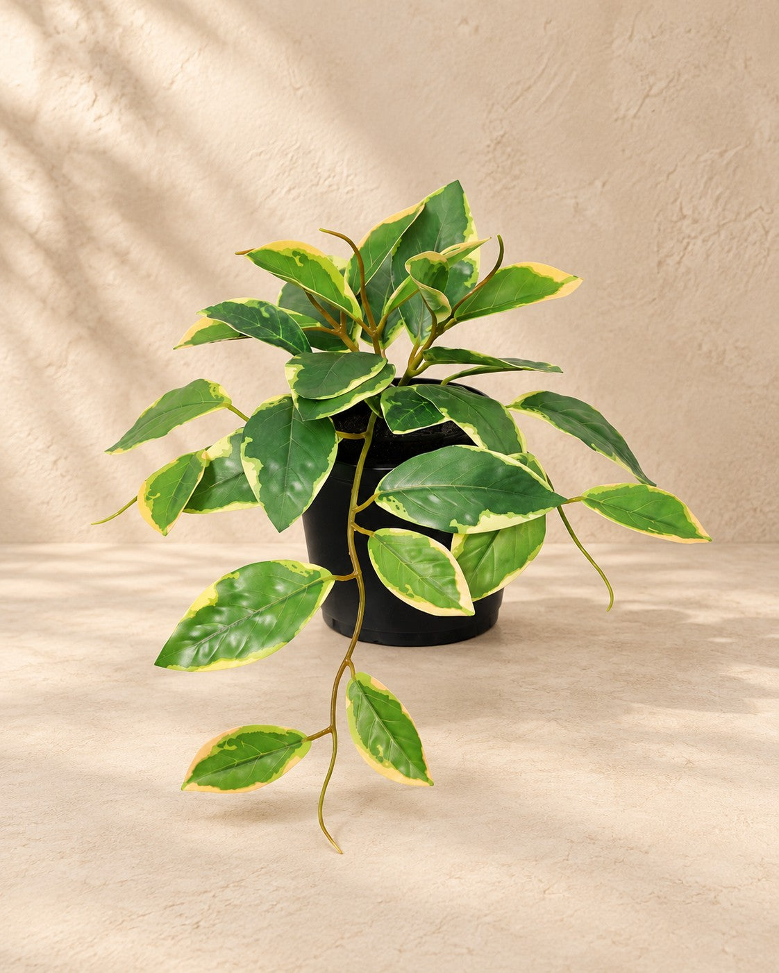 Kunstplant Hoya Variegata (Hoya carnosa) van 23 cm hoog in pot van 9 cm