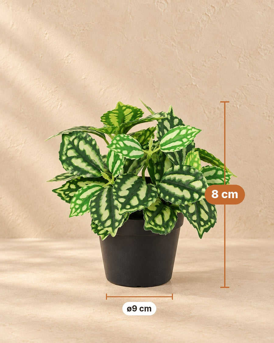 Kunstplant Ijskruid 8cm - ø9