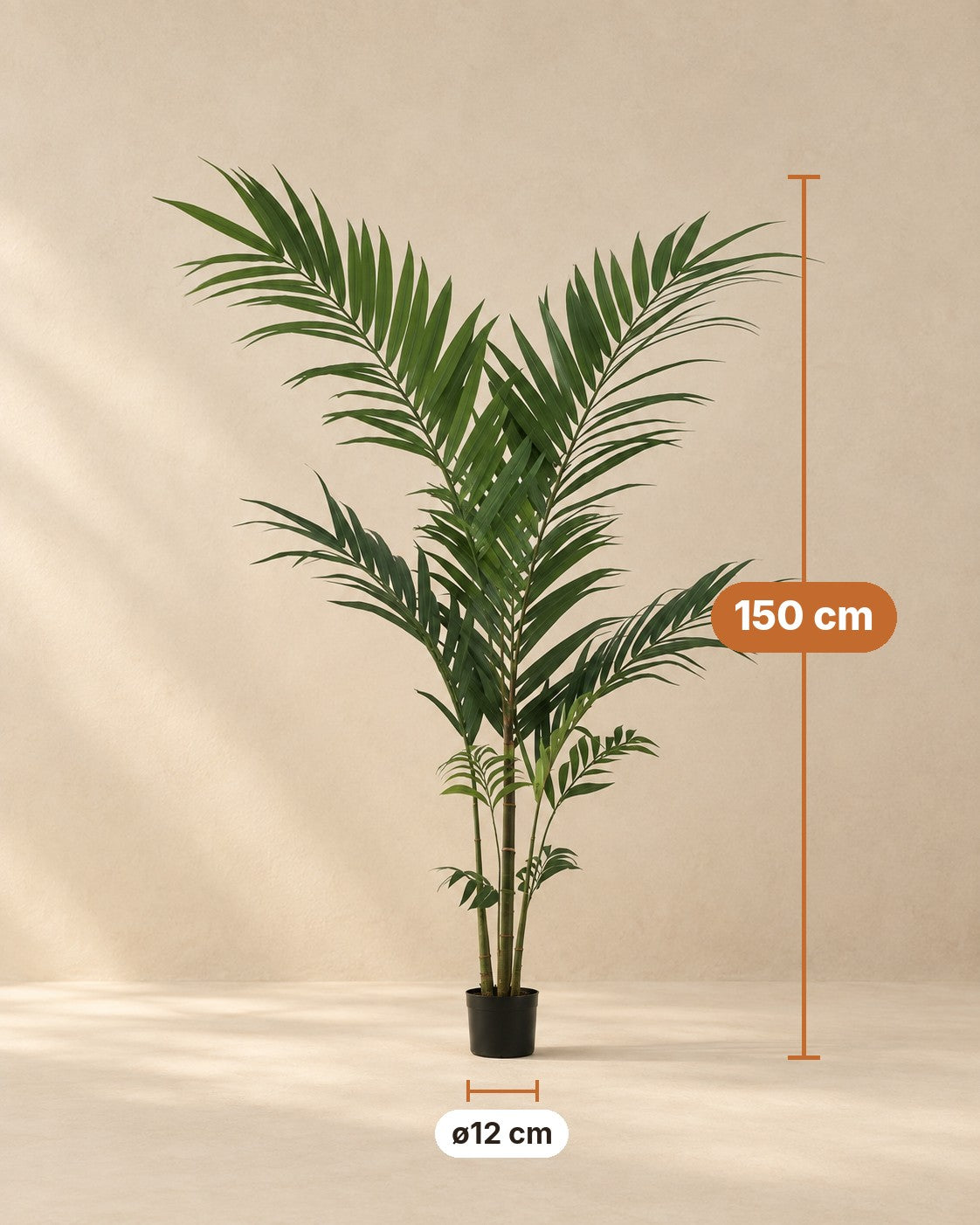Medidas de Palmera kentia artificial: 150 cm de altura, maceta ø12 cm