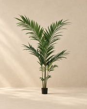 Palmera kentia artificial (Howea forsteriana), 150 cm de altura en maceta de 12 cm