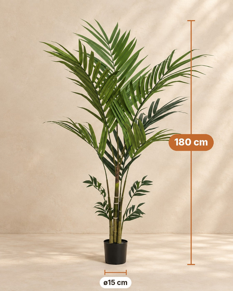 Kunstplant Kentiapalm (Howea forsteriana), 180 cm hoog
