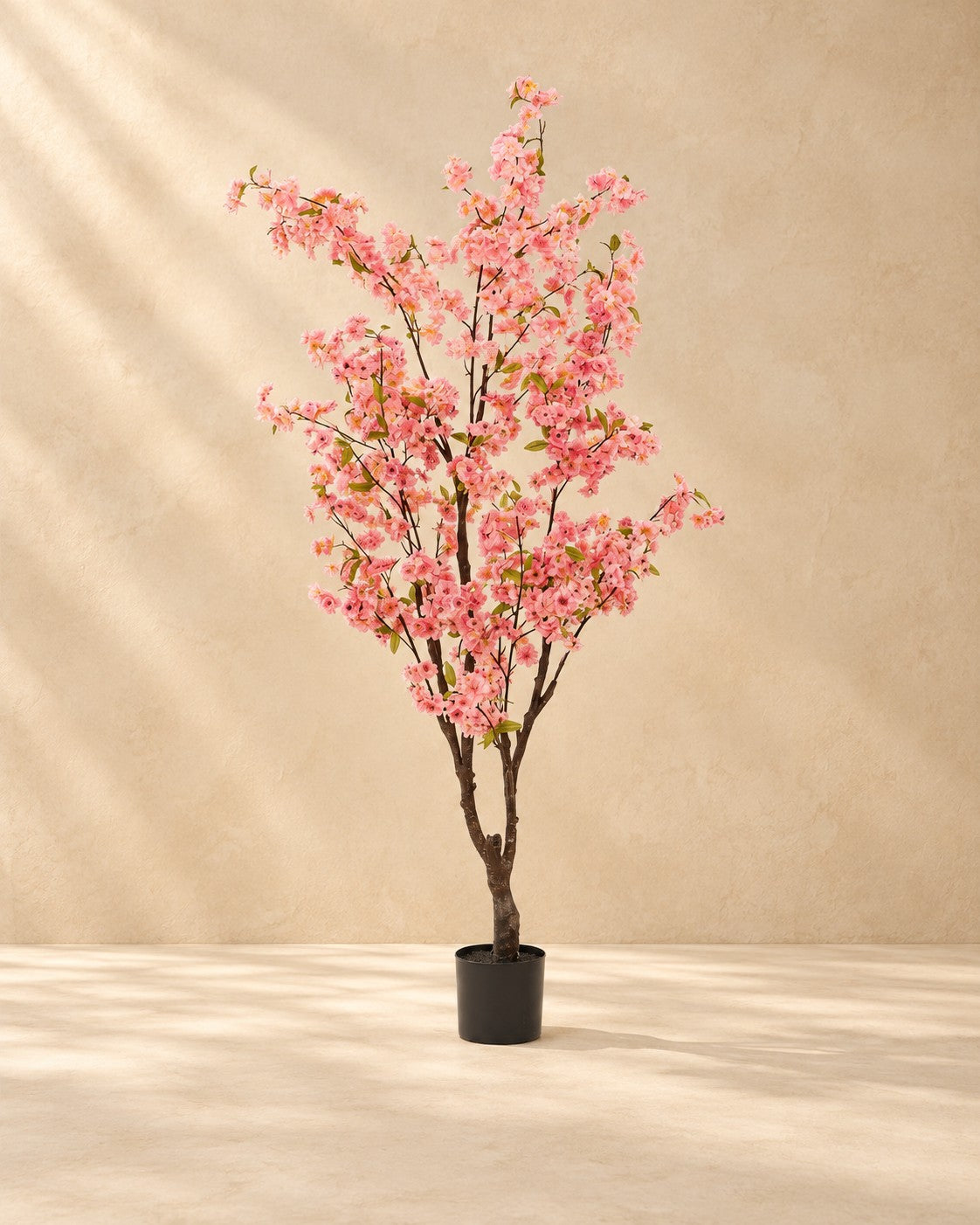Afmetingen Kunstplant kersenbloesem roze: 175 cm hoog, pot ø15 cm