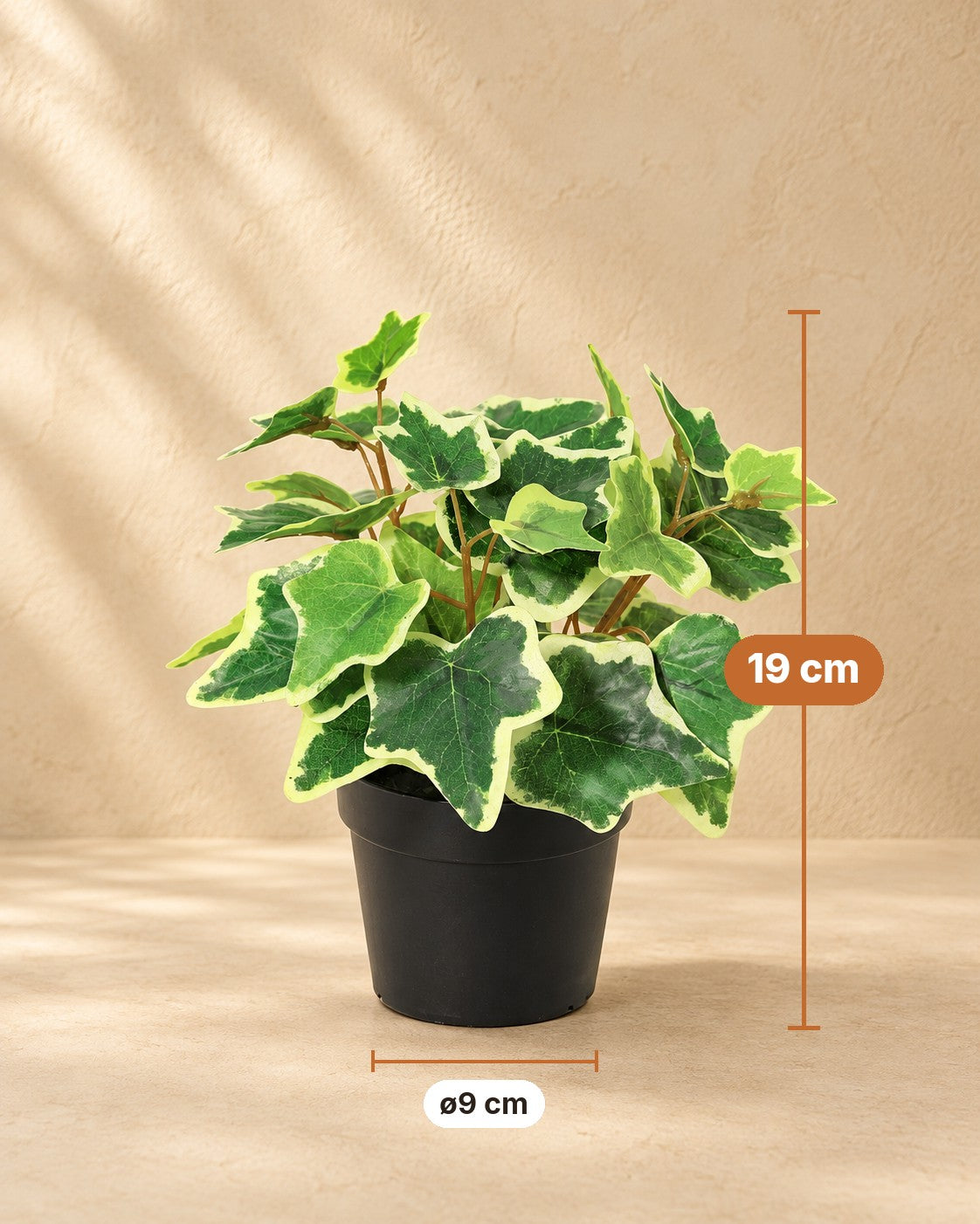 Afmetingen Kunstplant Klimop wit bont: 19 cm hoog, pot ø9 cm