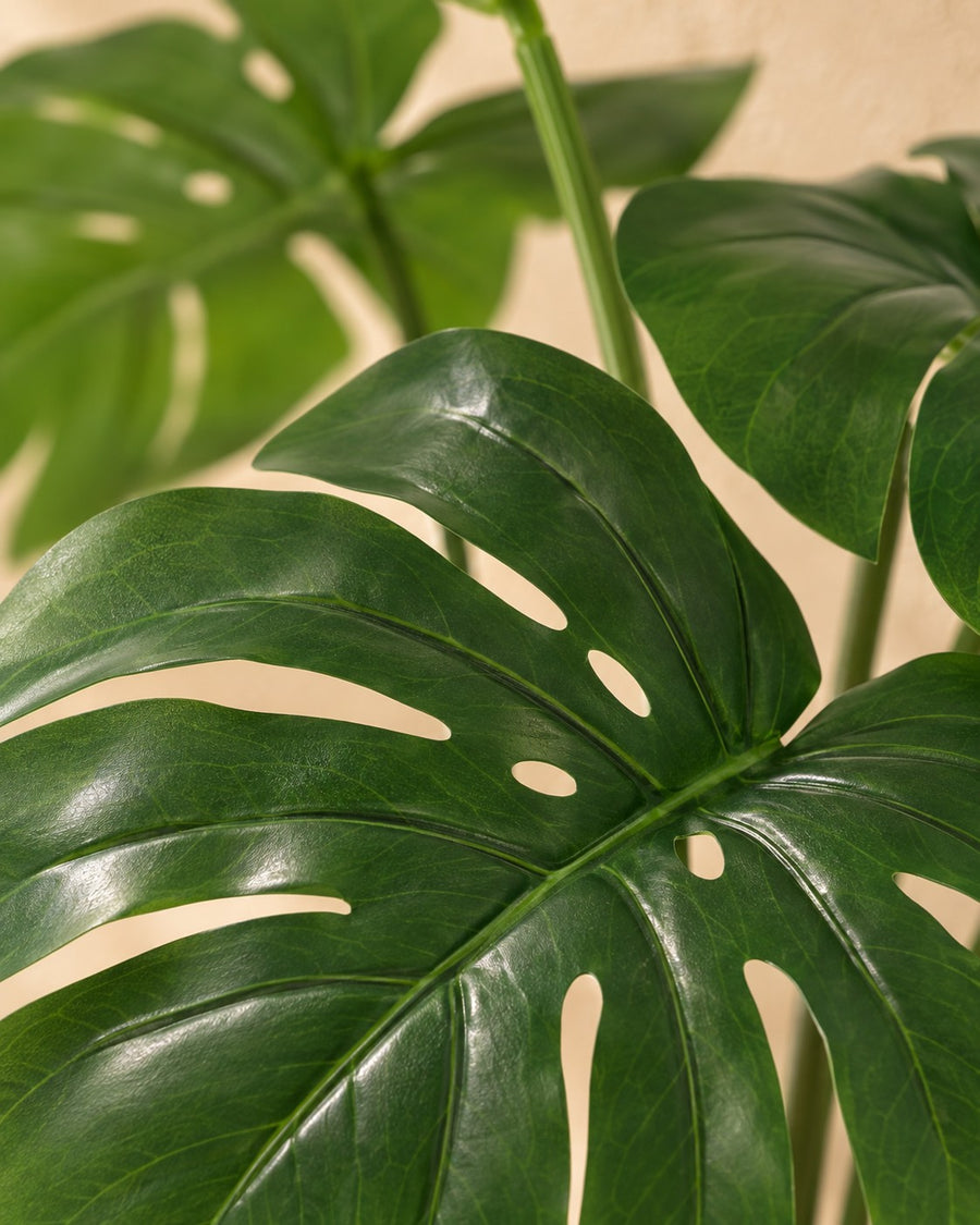Planta artificial Monstera deliciosa con maceta blanca 50cm - ø15