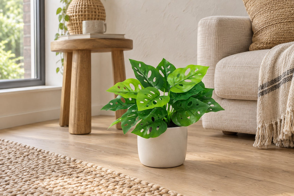 Kunstplant Monstera Monkey Leaf van 22 cm in een witte keramische pot in een lichte woonkamer
