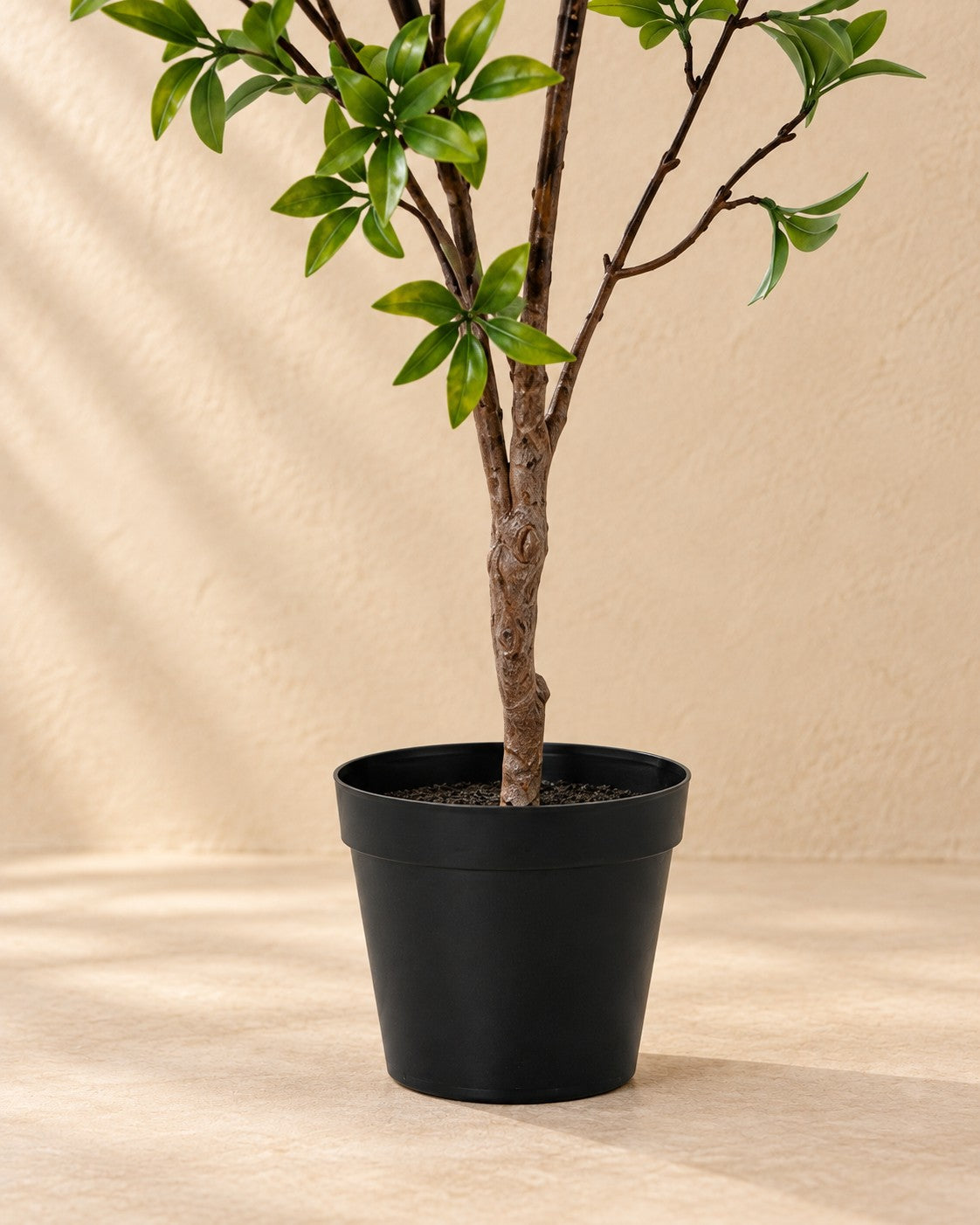 Nederste del af Kunstig plante Myrtus (Myrtus communis) med potten