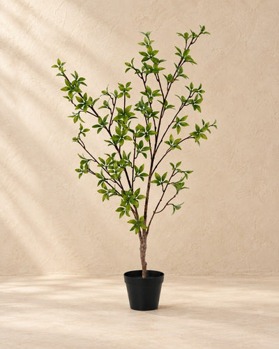 Kunstig plante Myrtus (Myrtus communis), 83 cm høj i en 12 cm potte