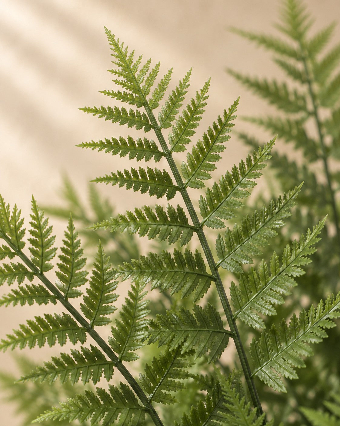 Primer plano de las hojas de Planta artificial Nephrolepis exaltata
