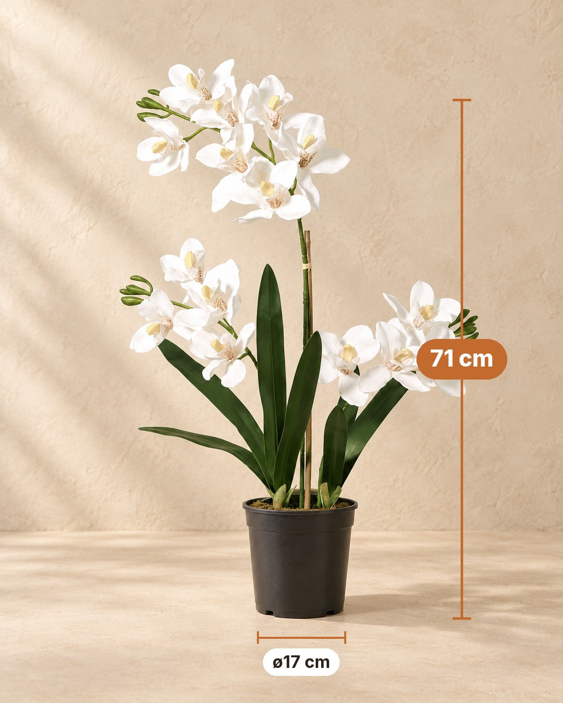 Wymiary Sztuczna roślina Orchidea Phalaenopsis w zestawie z doniczką: wysokość 71 cm, doniczka ø17 cm