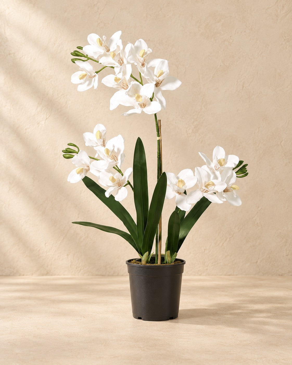 Kunstplant Phalaenopsis Orchidee inclusief pot (Phalaenopsis sp.) van 71 cm hoog in pot van 17 cm