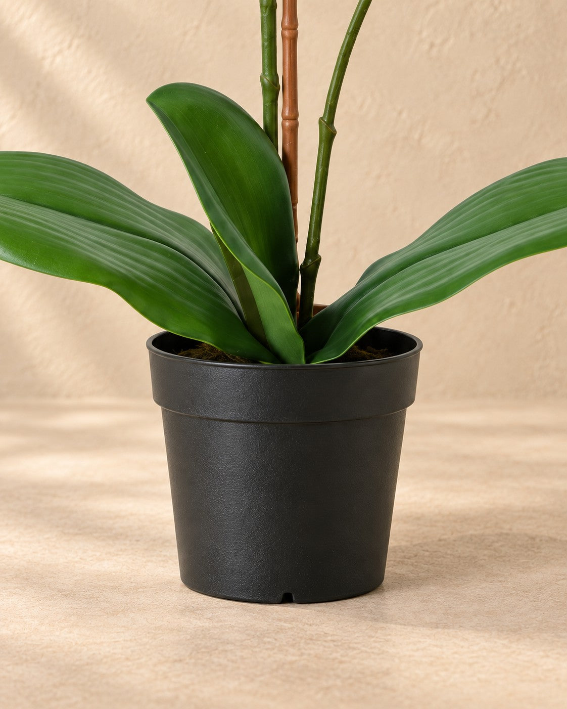 Parte inferior de Orquídea Phalaenopsis artificial naranja (Phalaenopsis sp.) con su maceta