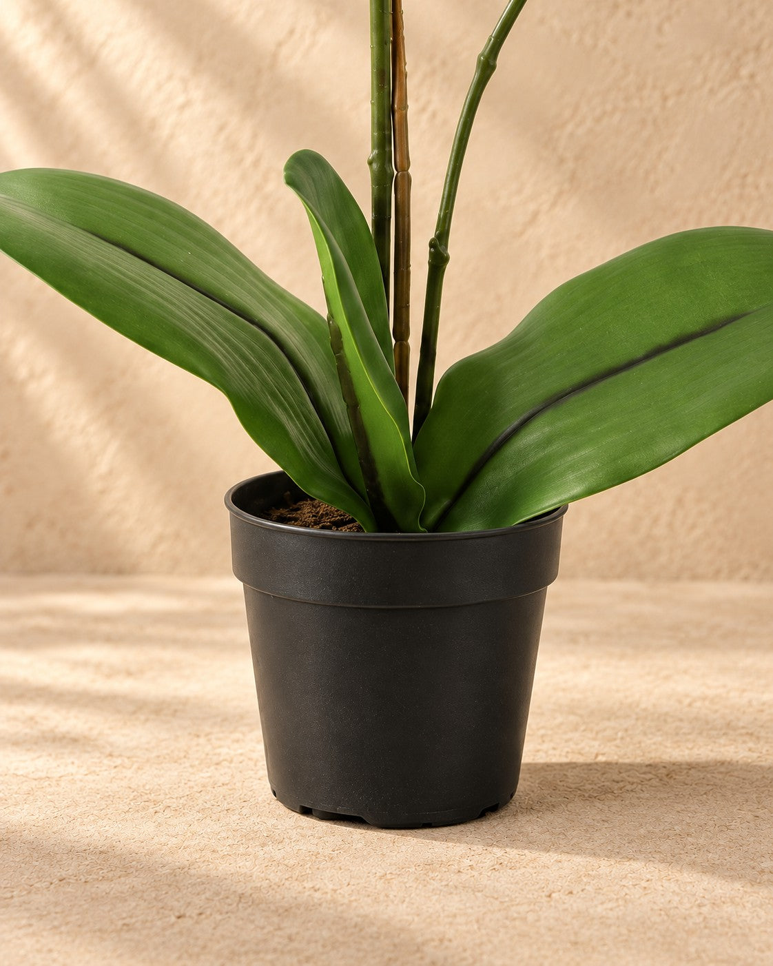 Onderste deel van de Kunstplant Phalaenopsis Orchidee paars (Phalaenopsis sp.) met de pot