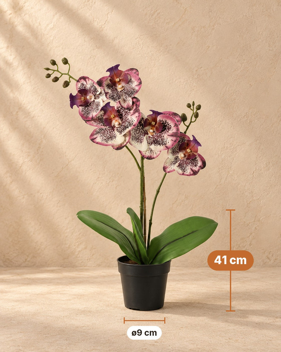 Kunstplant Phalaenopsis Orchidee paars 41cm - ø9