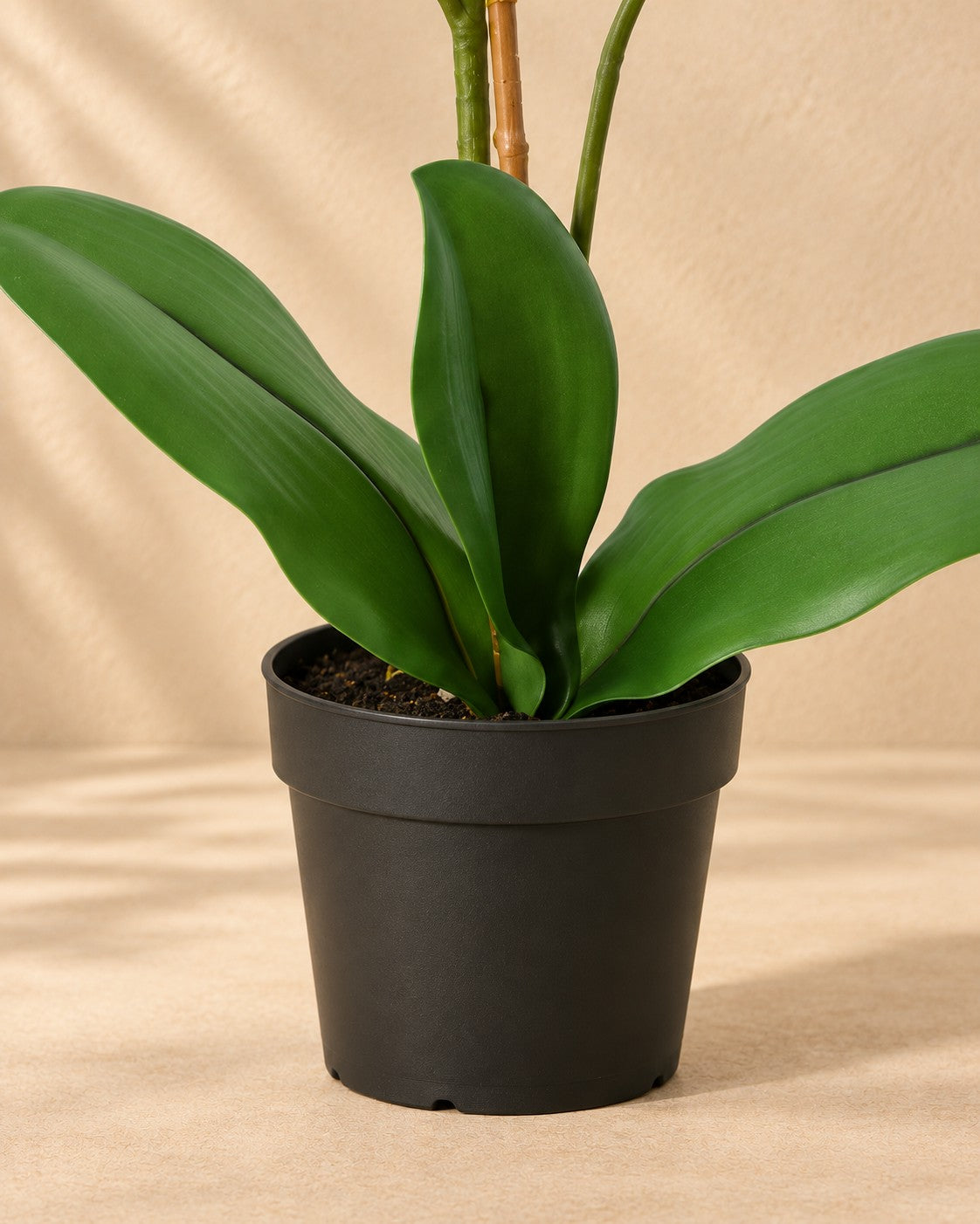 Dolna część Sztuczna roślina Phalaenopsis Orchidea fioletowo-biała (Phalaenopsis sp.) z doniczką
