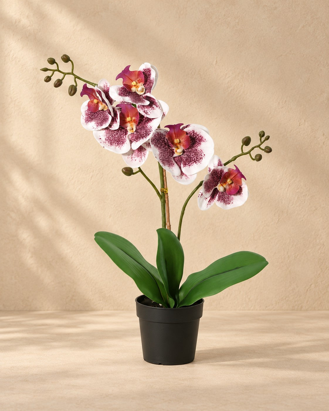 Kunstplant Phalaenopsis Orchidee paars wit (Phalaenopsis sp.) van 43 cm hoog in pot van 9 cm
