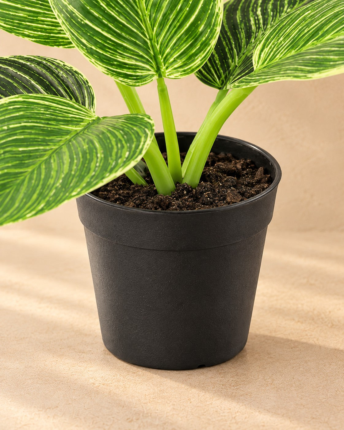Parte inferior de Philodendron 'Birkin' artificial con su maceta