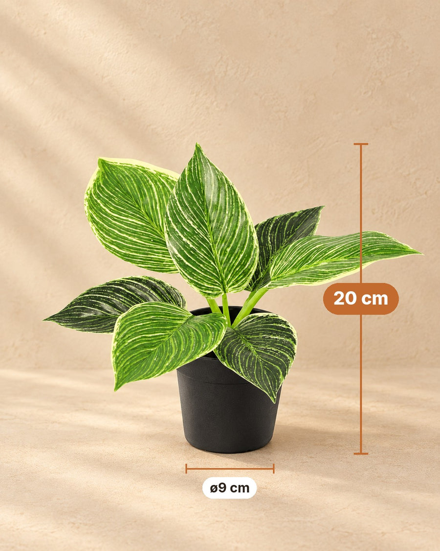 Philodendron 'Birkin' artificial 20cm - ø9