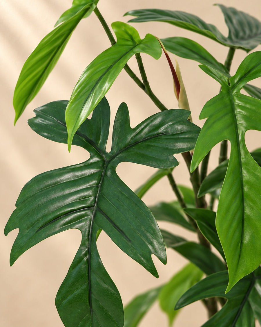Kunstpflanze Philodendron Florida 44cm - ø12