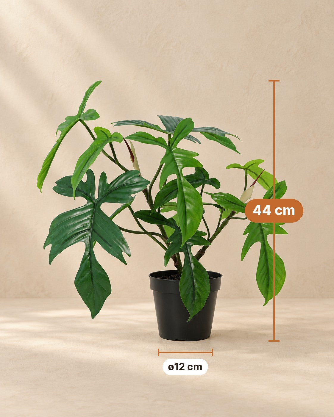 Maße Kunstpflanze Philodendron Florida: 44 cm hoch, Topf ø12 cm