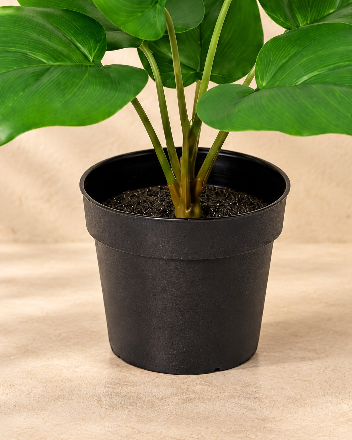 Partie basse de Plante artificielle Philodendron Vert Impérial (Philodendron 'Imperial Green') avec son pot