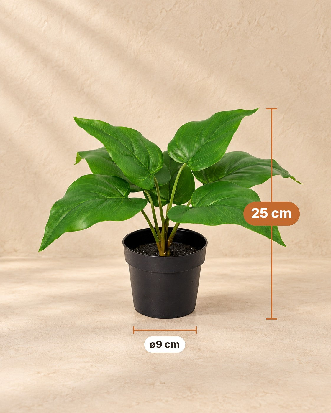 Dimensions Plante artificielle Philodendron Vert Impérial : 25 cm de haut, pot ø9 cm