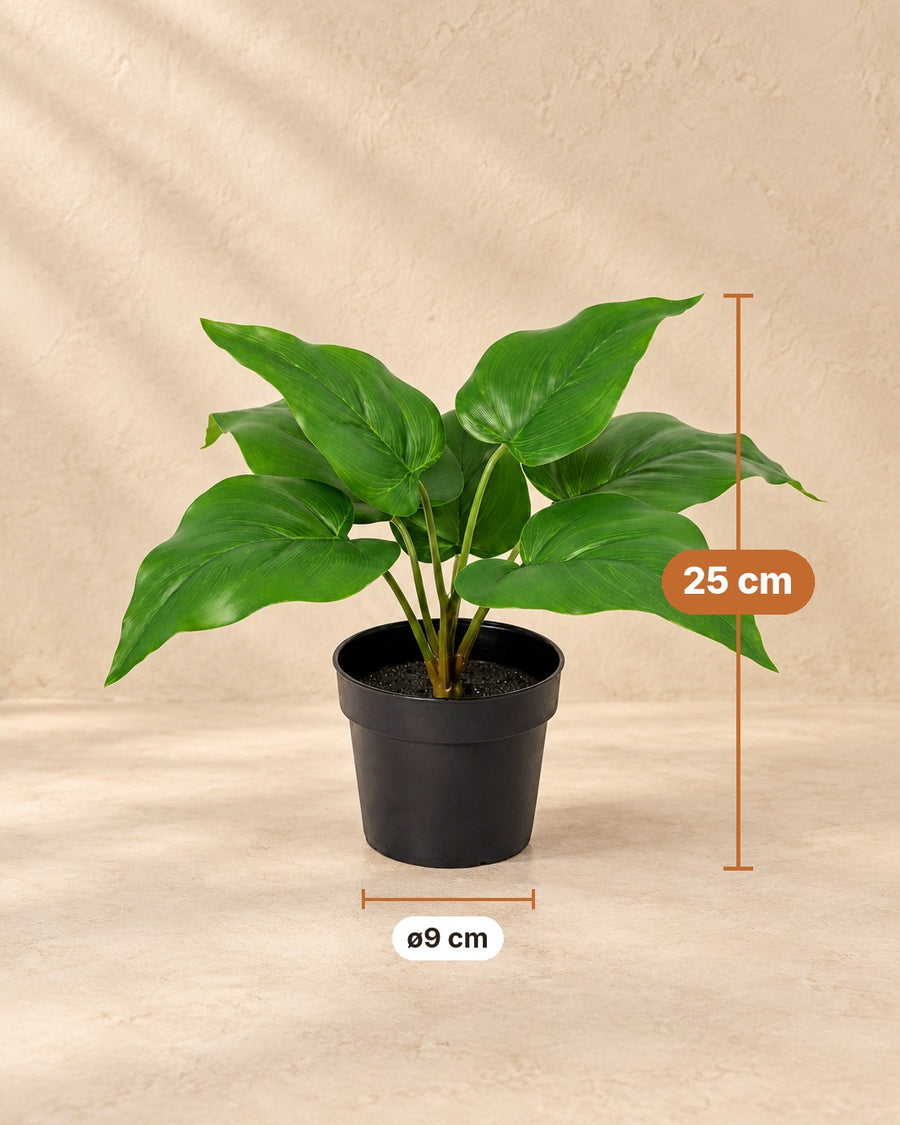 Plante artificielle Philodendron Vert Impérial 25cm - ø9