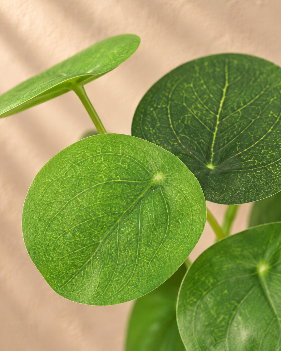Kunstplant Pilea Peperomioides 18cm - ø9