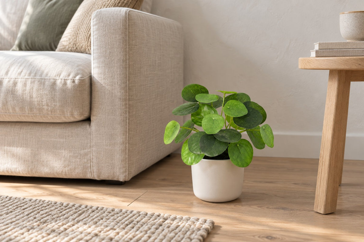 Kunstpflanze Pilea Peperomioides, 18 cm, in a white ceramic planter in einem hellen Wohnzimmer