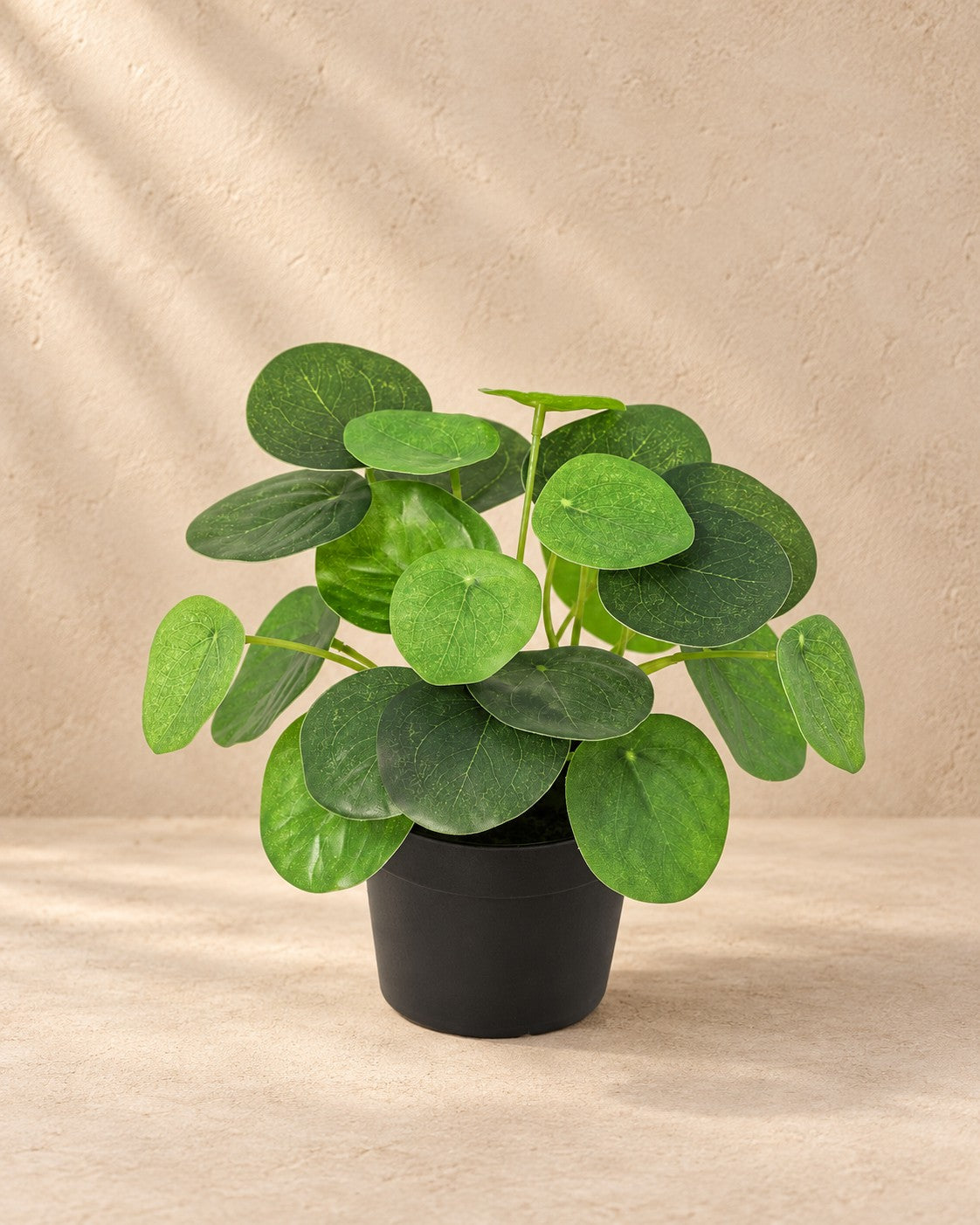 Kunstplant Pilea Peperomioides van 18 cm hoog in pot van 9 cm