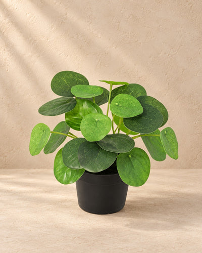 Kunstplant Pilea Peperomioides van 18 cm hoog in pot van 9 cm