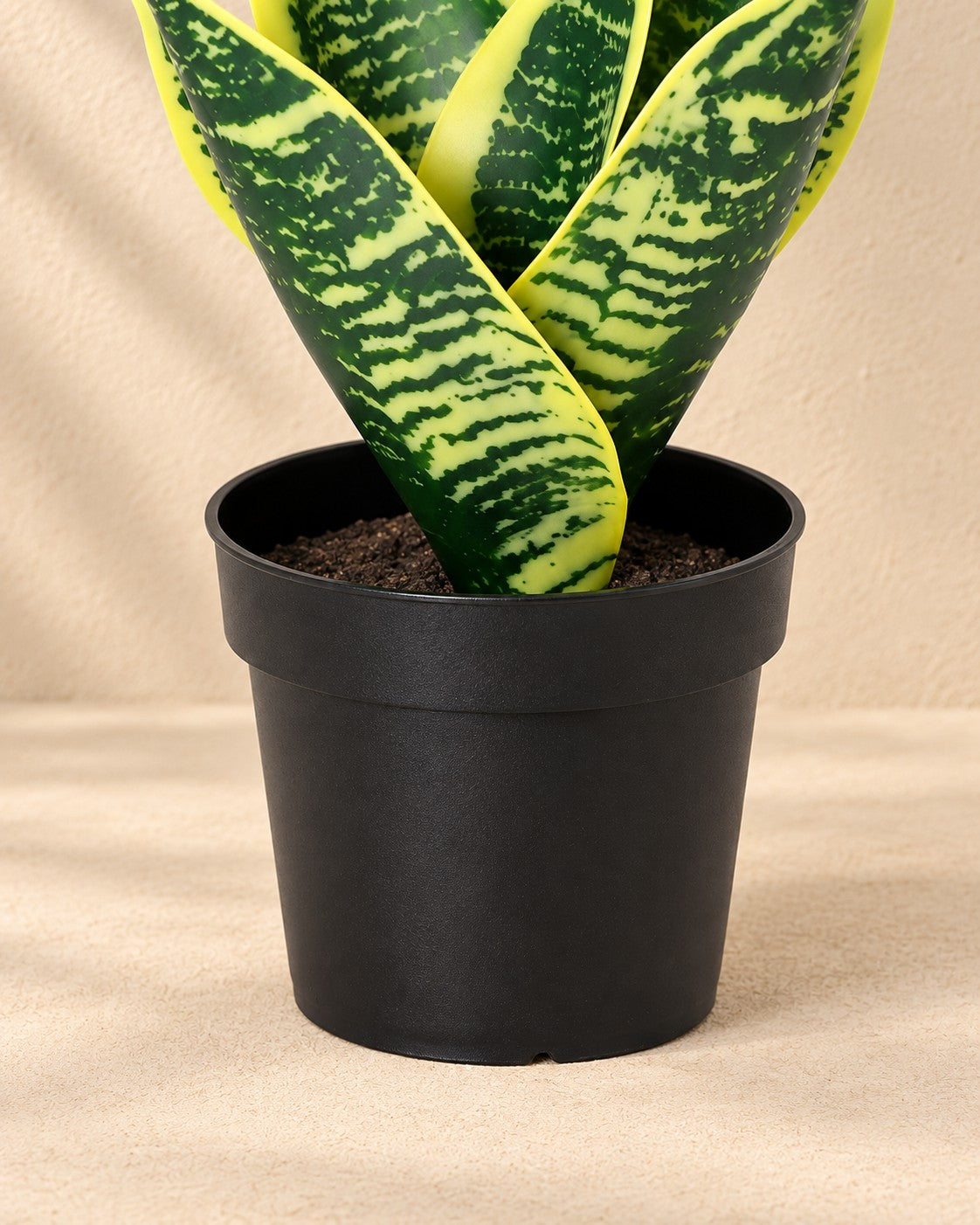 Onderste deel van de Kunstplant Sansevieria Laurentii (Sansevieria trifasciata 'Laurentii') met de pot
