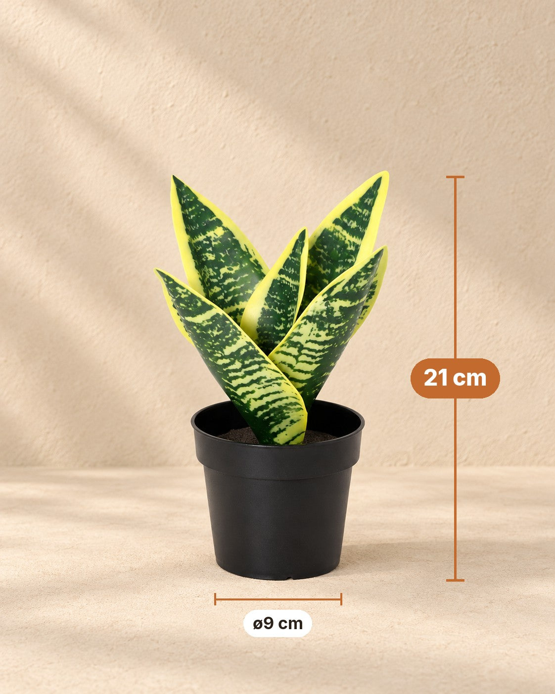 Afmetingen Kunstplant Sansevieria Laurentii: 21 cm hoog, pot ø9 cm