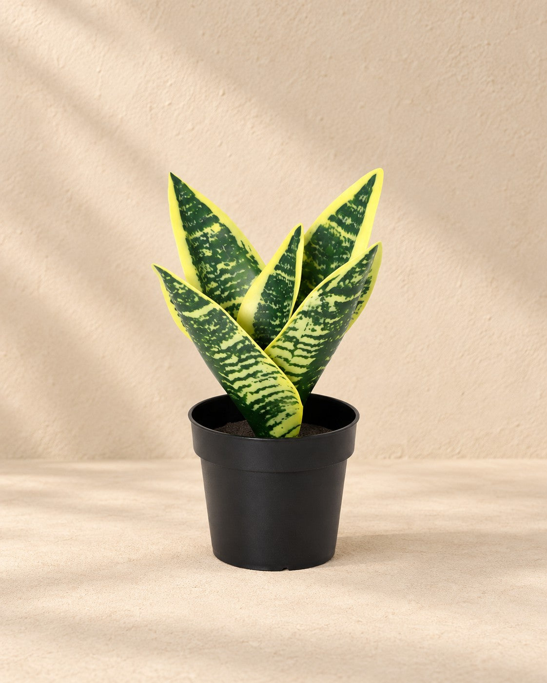 Kunstplant Sansevieria Laurentii (Sansevieria trifasciata 'Laurentii') van 21 cm hoog in pot van 9 cm