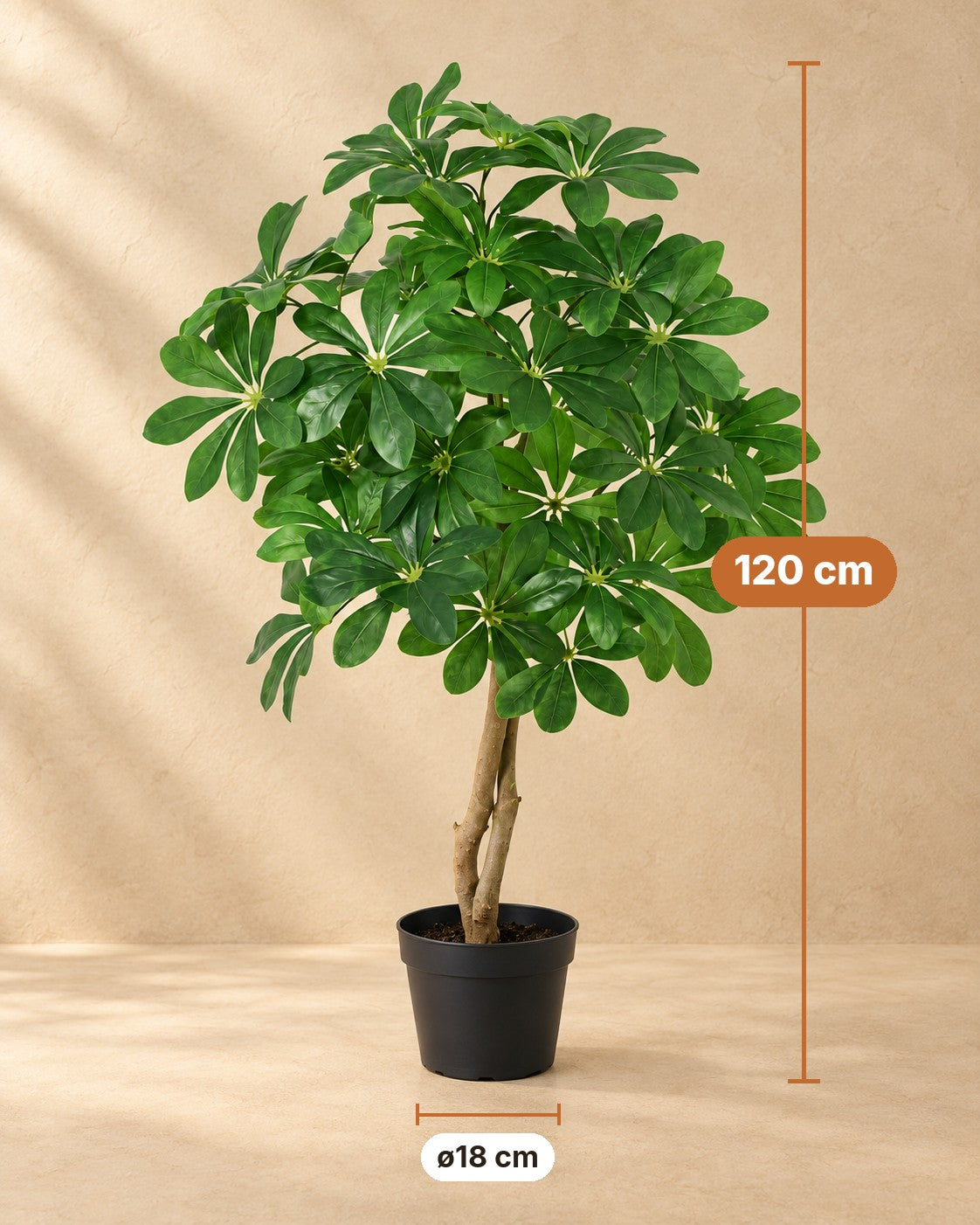 Maße Kunstpflanze Schefflera Arboricola: 120 cm hoch, Topf ø18 cm