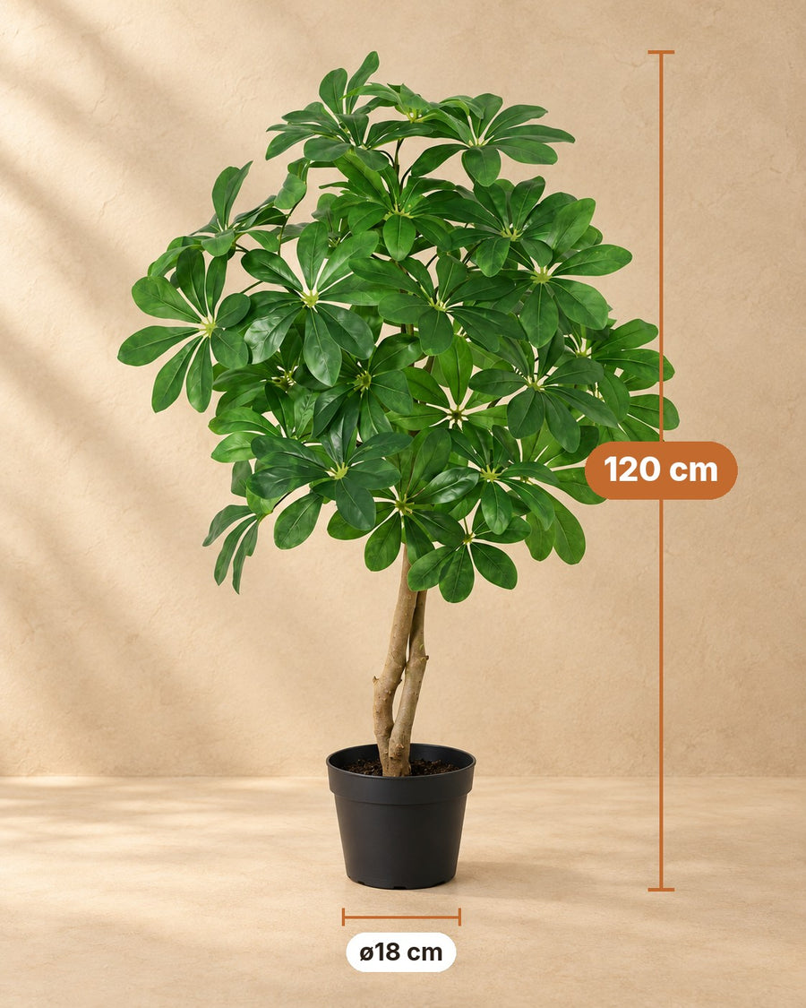 Kunstpflanze Schefflera Arboricola 120cm - ø18