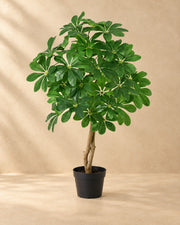 Kunstpflanze Schefflera Arboricola, 120 cm hoch im Topf von 18 cm