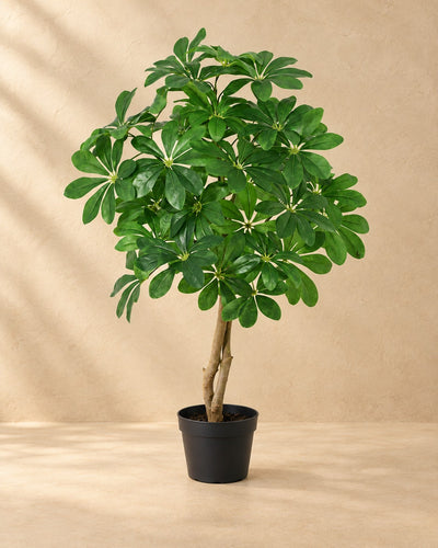 Kunstpflanze Schefflera Arboricola, 120 cm hoch im Topf von 18 cm