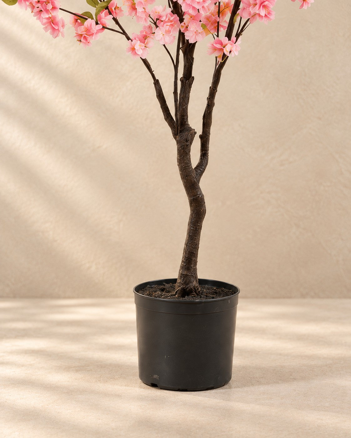 Onderste deel van de Kunstplant sierkers (Prunus sp.) met de pot
