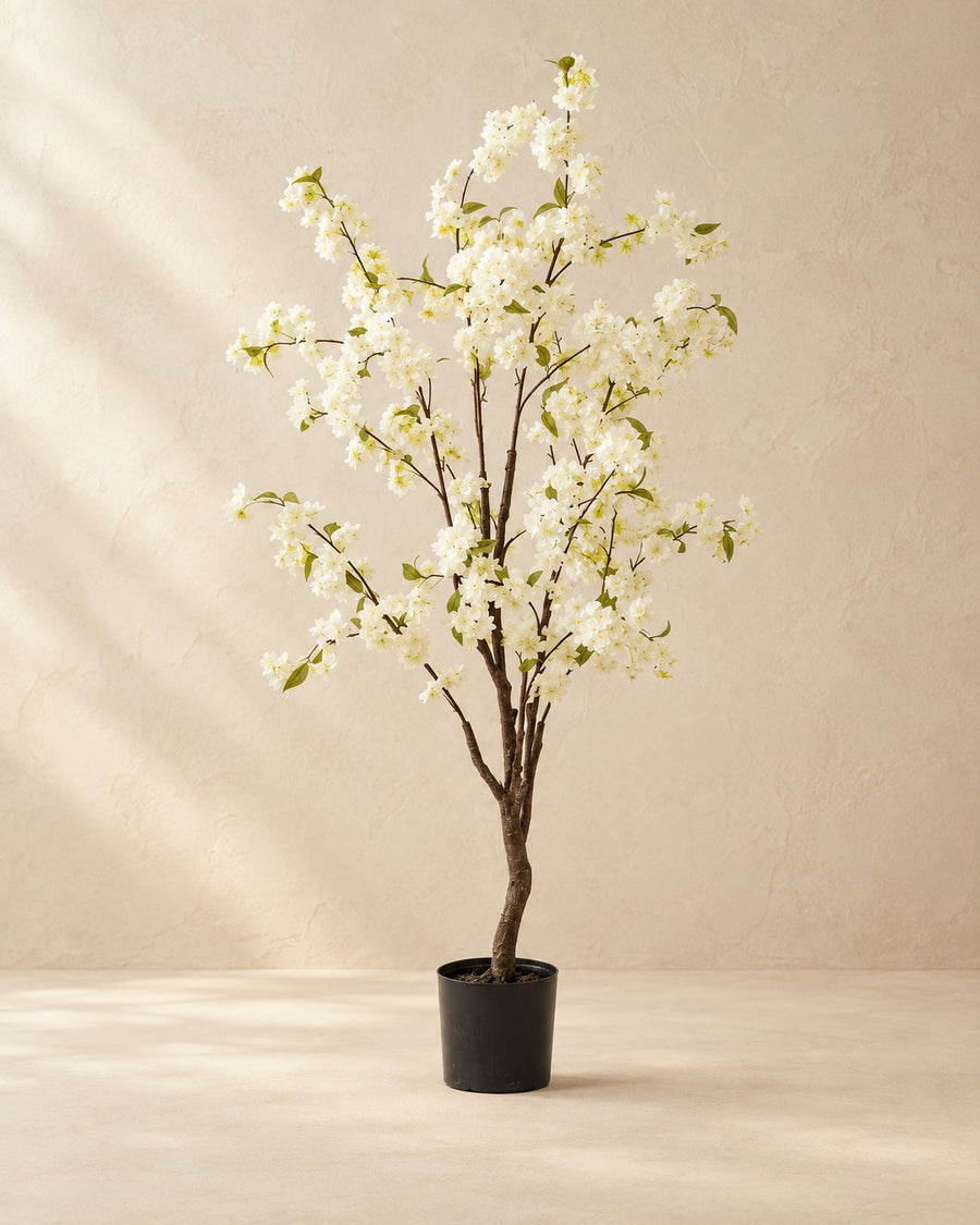 Konstväxt prydnadskörsbär (Prunus) 135 cm hög, kruka ø15 cm