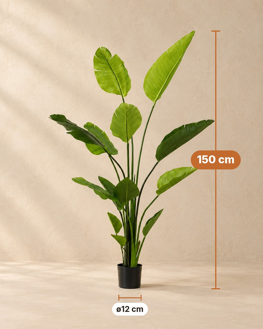 Kunstig plante Strelitzia nicolai (paradisfuglblomst), 150 cm høj