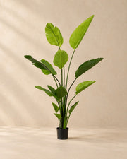 Kunstig plante Strelitzia nicolai, 150 cm høj i en 12 cm potte
