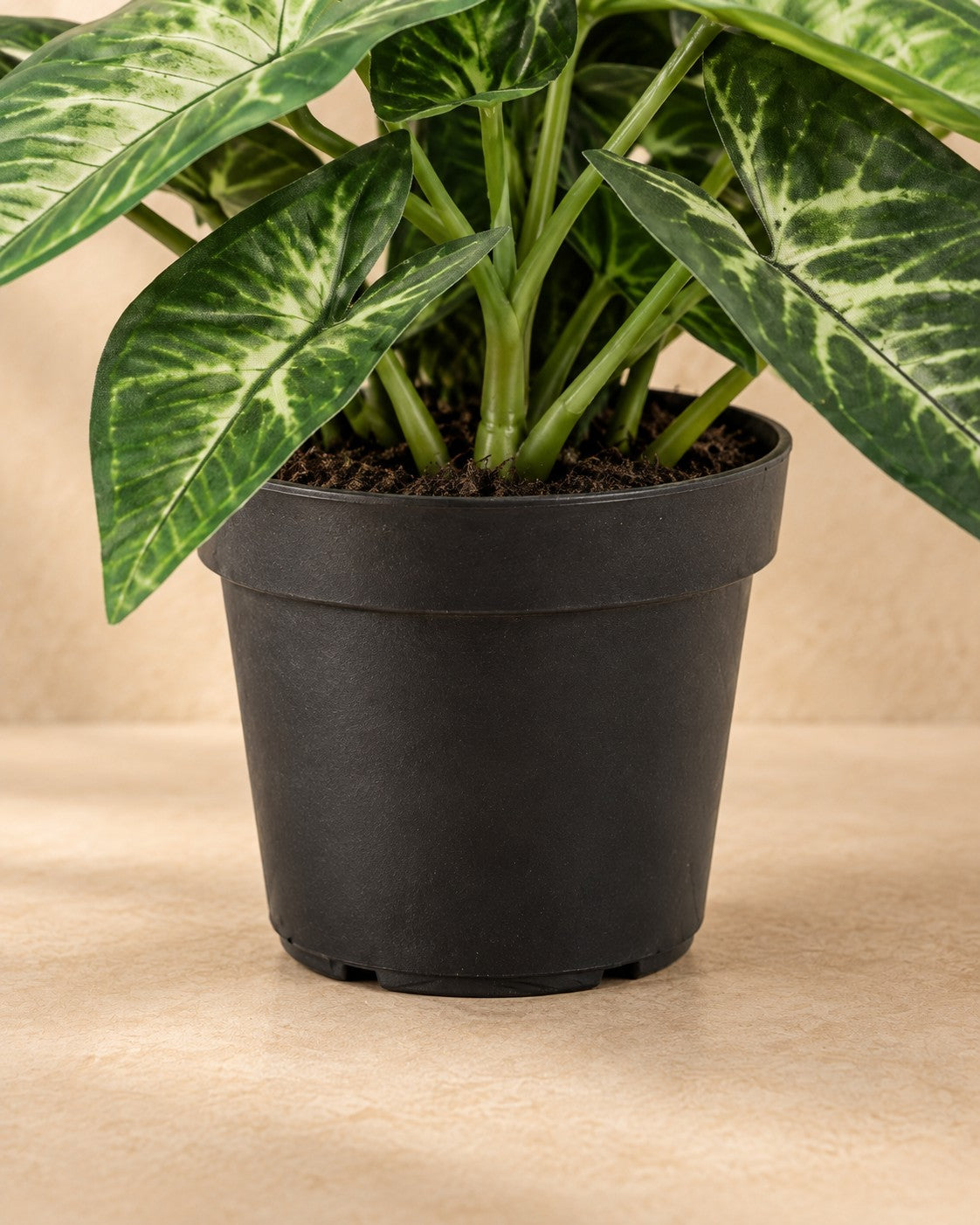 Onderste deel van de Kunstplant Syngonium (Syngonium podophyllum) met de pot