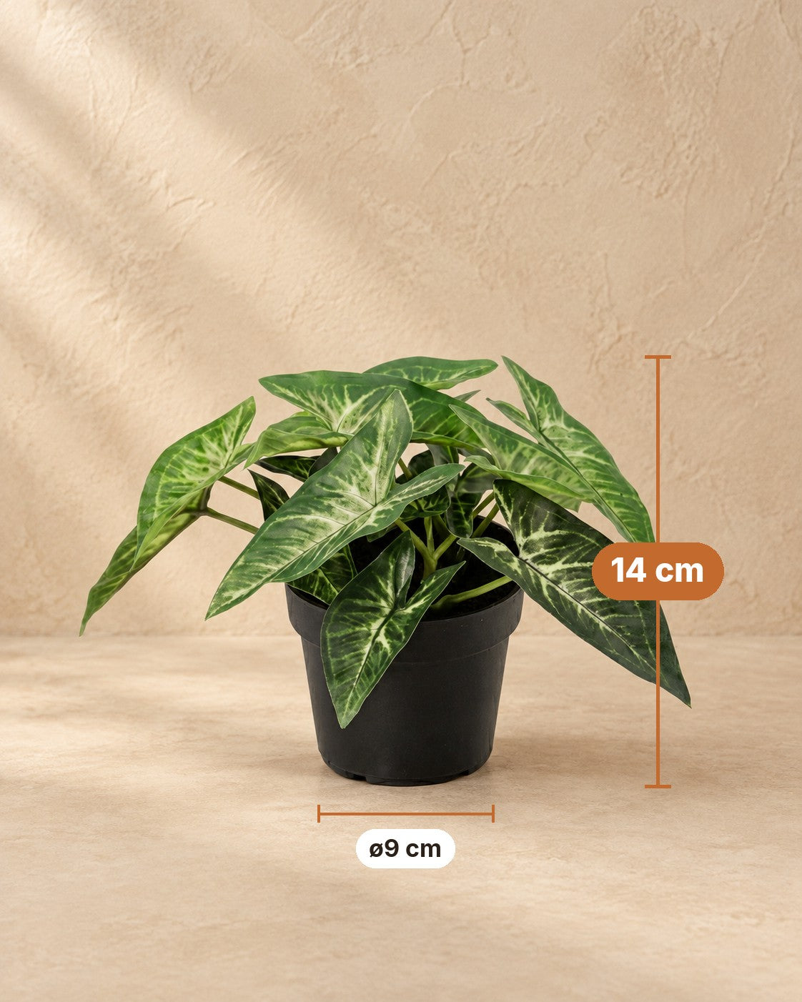 Afmetingen Kunstplant Syngonium: 14 cm hoog, pot ø9 cm