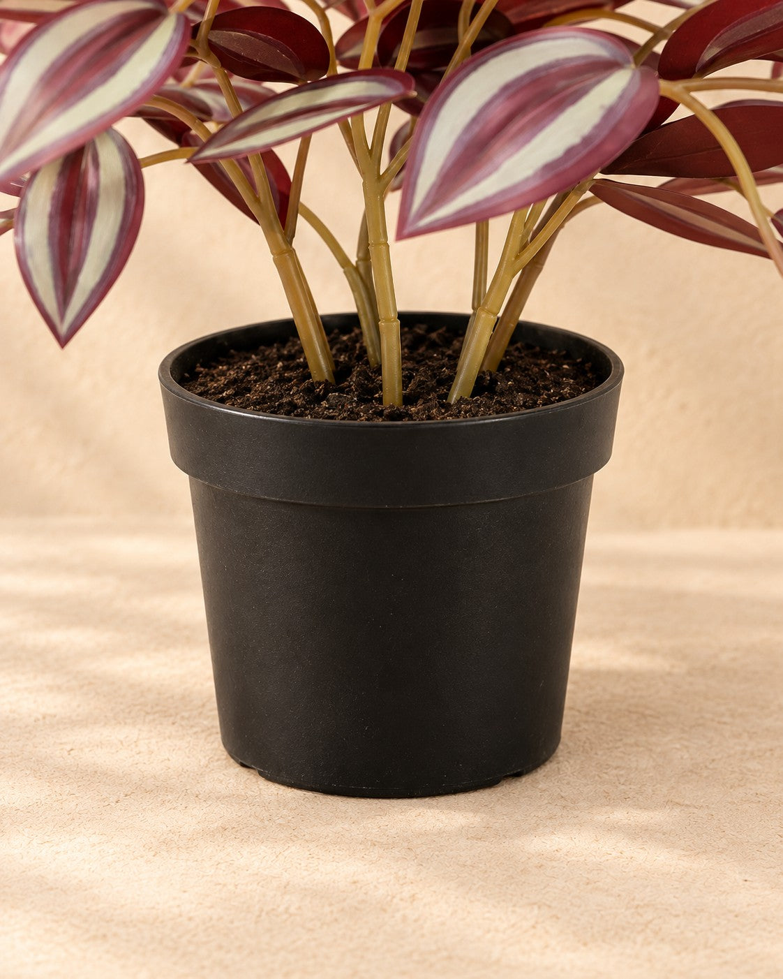 Unterer Teil der Kunstpflanze Tradescantia (Tradescantia sp.) mit dem Topf