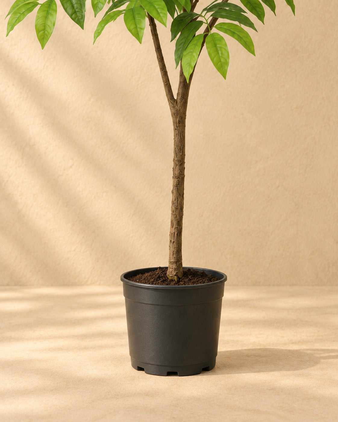 Parte inferior de Planta artificial tropical con maceta blanca incluida con su maceta