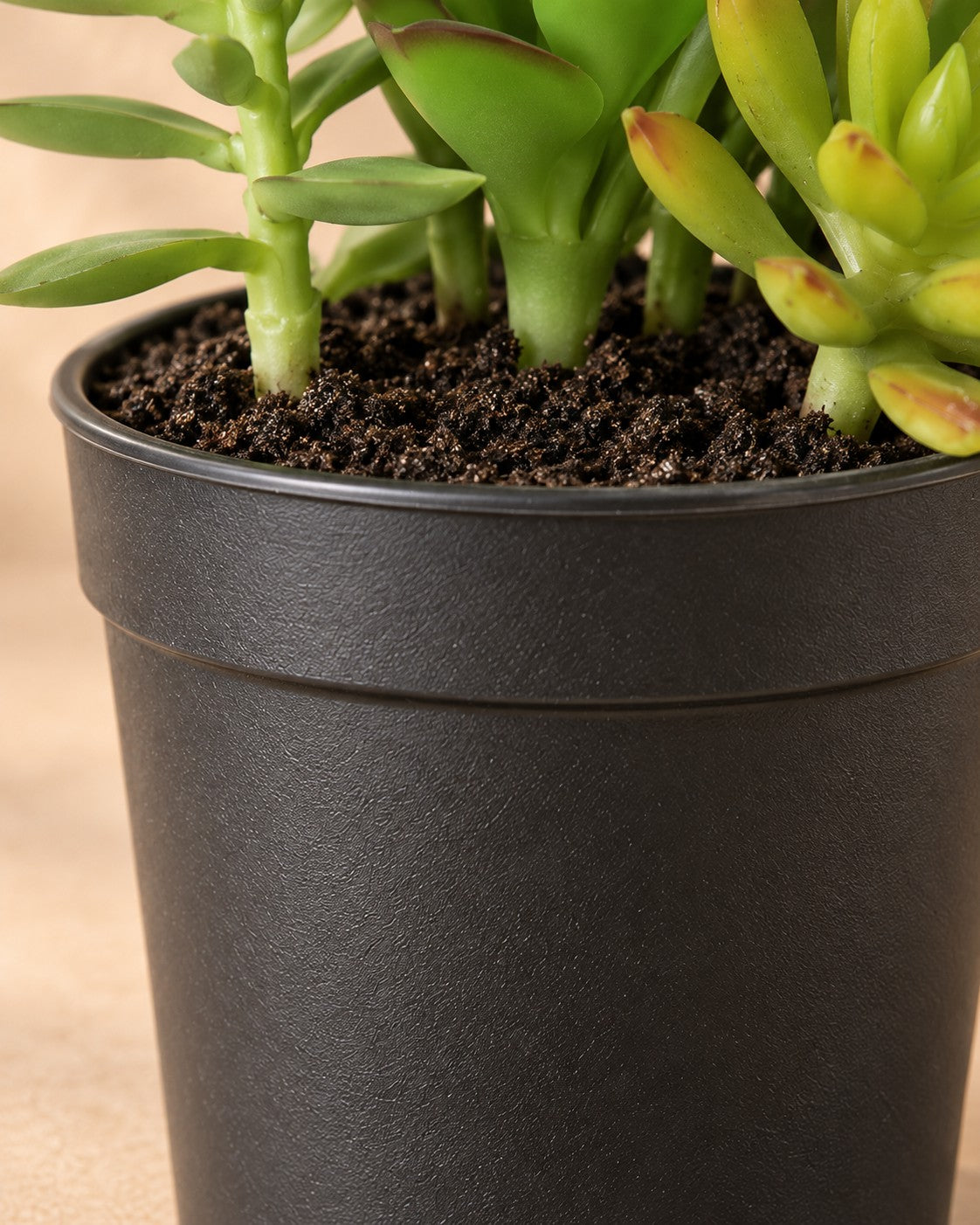 Lower part of the Artificial plant Succulent including white pot with its pot