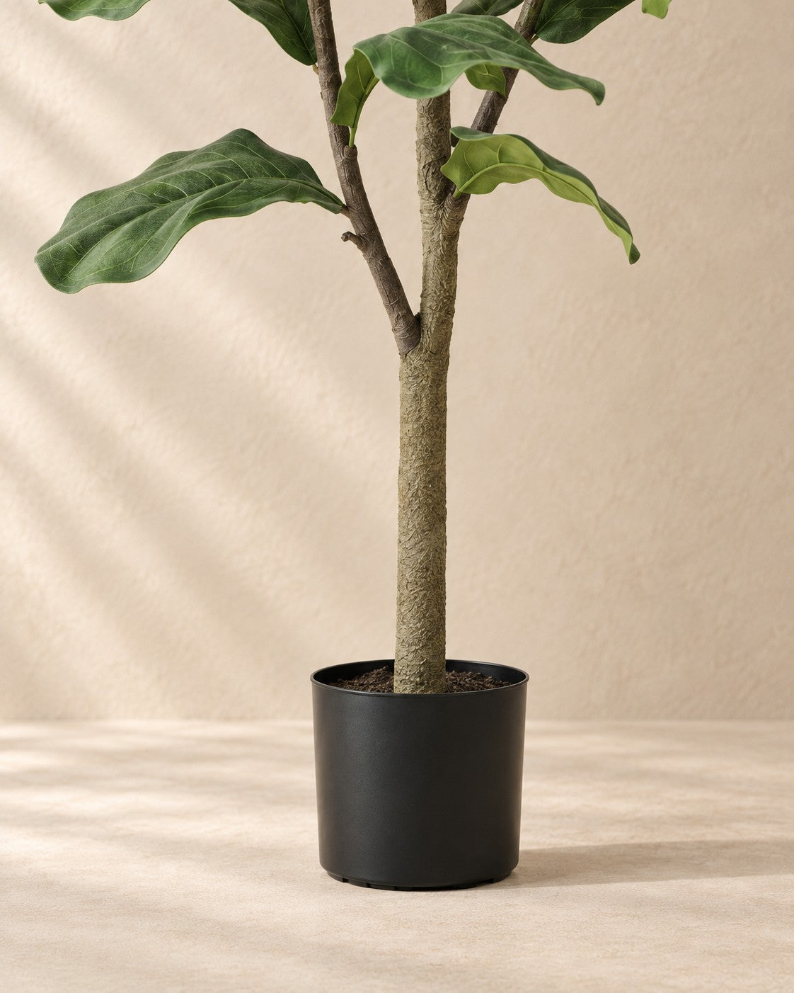 Onderste deel van de Kunstplant vioolbladplant (Ficus lyrata) met de pot