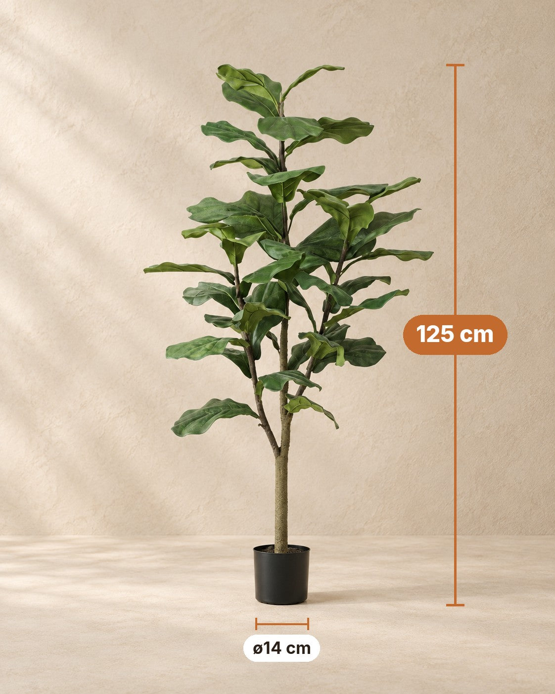 Afmetingen Kunstplant vioolbladplant: 125 cm hoog, pot ø14 cm