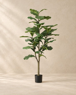 125 cm