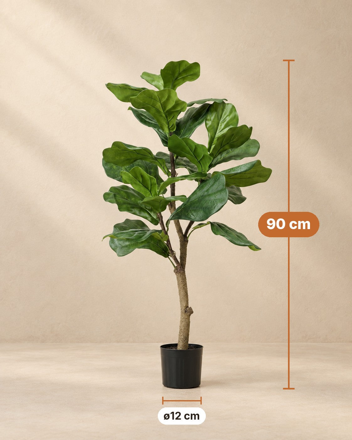 Mått Konstväxt fiolfikus: 90 cm hög, kruka ø12 cm
